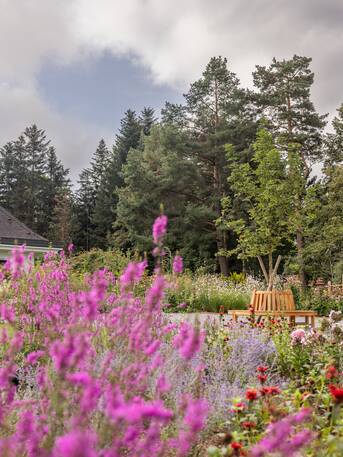 © Blooming garden in Igls Park Park Igls: flowerbed, bench, trees and buildings under cloudy sky | © Blooming garden in Igls Park